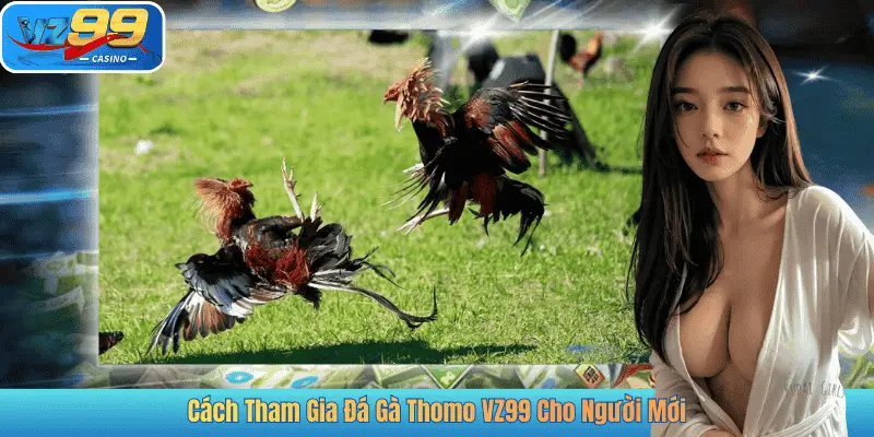 Cách Tham Gia Đá Gà Thomo VZ99 Cho Người Mới